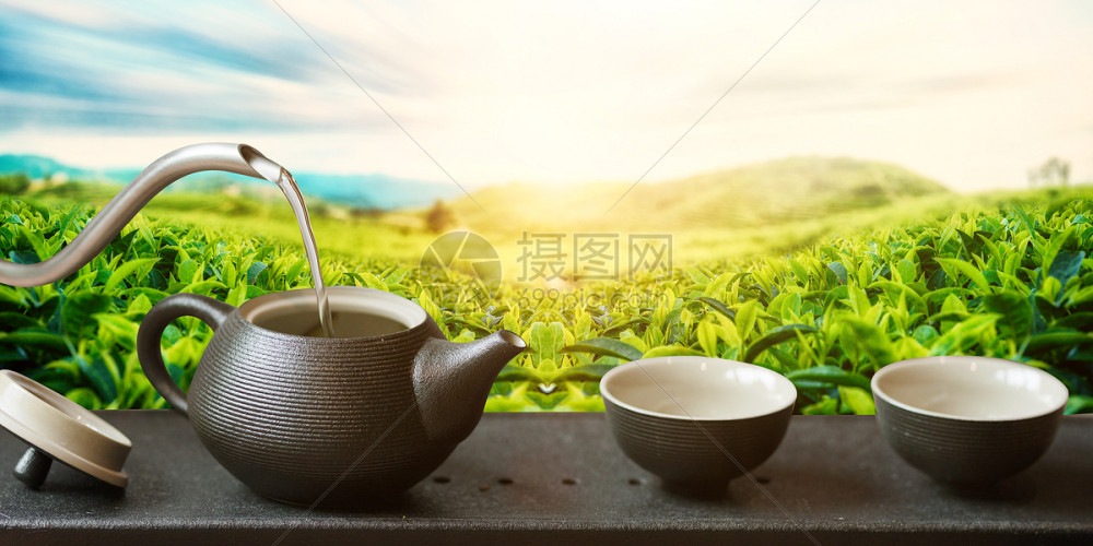 同桐茶文化